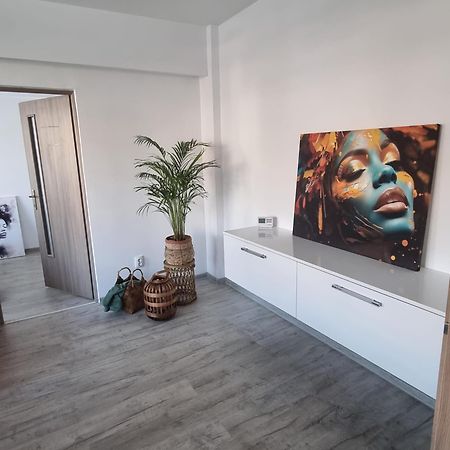 Central View Apartment Deva Bagian luar foto